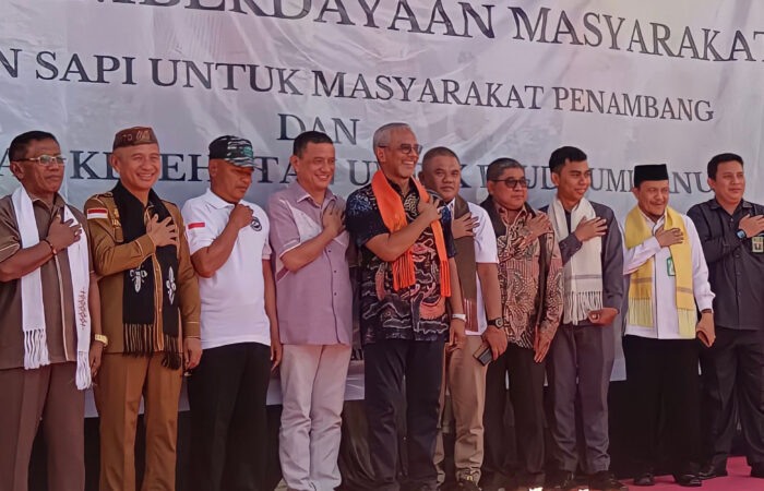 Sapi Ternak Masyarakat Pohuwato